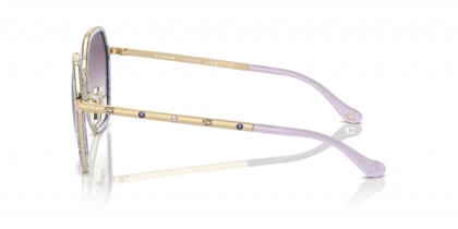 عینک آفتابی کوچ Coach HC7167B