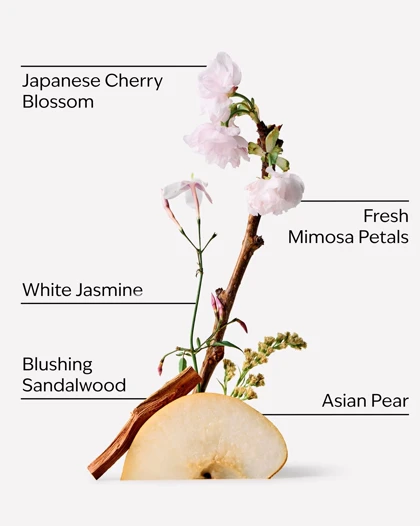 شامپو بدن بث اند بادی Bath & Body مدل Japanese Cherry Blossom