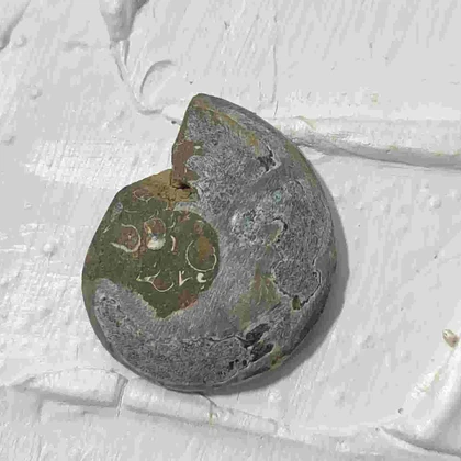 گردنبند نقره با فسیل آمونیت طبیعی اصل کد 63 (بدون زنجیر)