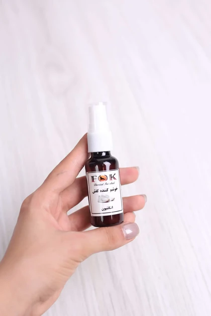 اسپری پاک کننده کفش