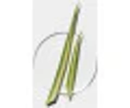 سرم ضد لک قوی مدل Even Better radical dark spot حجم 30میل اصل 100% اورجینال - اقساط