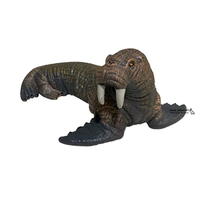 فیگوری حیوانات دریایی