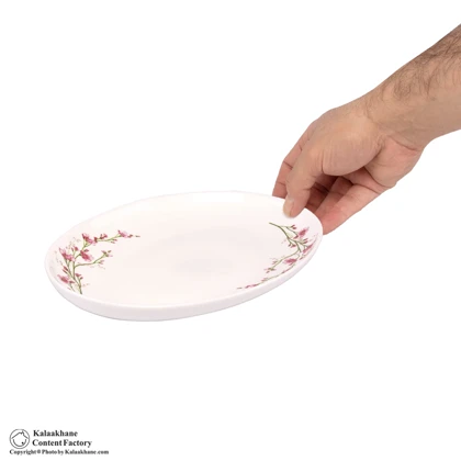 دیس بیضی 24 سانت بهار کد 4044