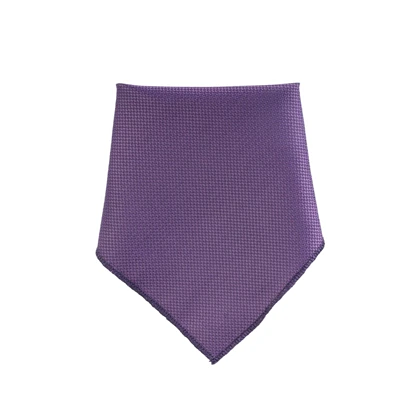 ست کراوات و پوشت مردانه رمیسا بنفش