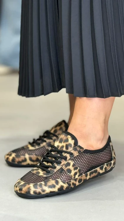 6208 - 6208 ونس زارا توری