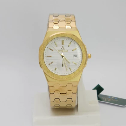 ساعت مچی مردانه فیترون Fitron 6040M با موتور کوارتز ژاپن و تاریخ دار