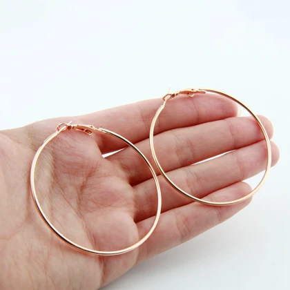 گوشواره زنانه مینمال حلقه