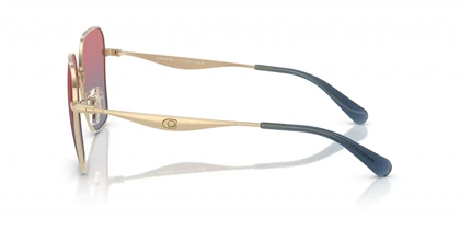 عینک آفتابی کوچ Coach HC7168S