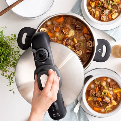 زودپز تفال Tefal مدل P3534446 ظرفیت 8 لیتر
