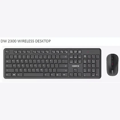 ست موس و کیبورد بی سیم چری DW-2300