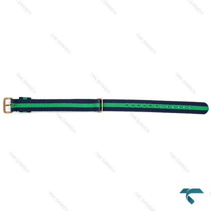 بند برزنتی دنیل ولینگتون زنانه سبز سرمه ای رز DW-Strap-8164-L