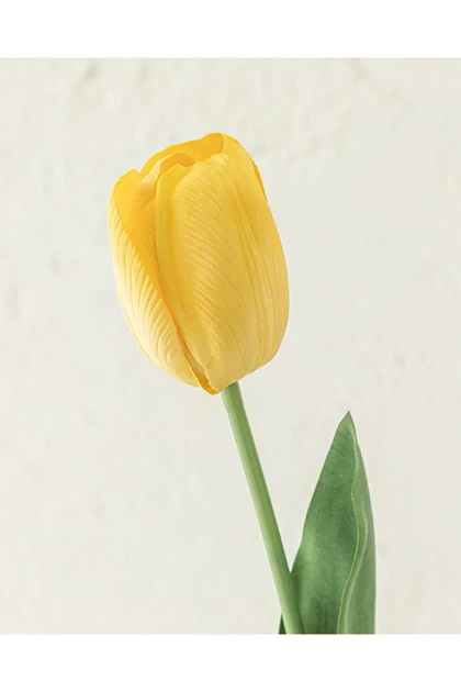گل مصنوعی تک‌شاخه English Home مدل Tulip Garden