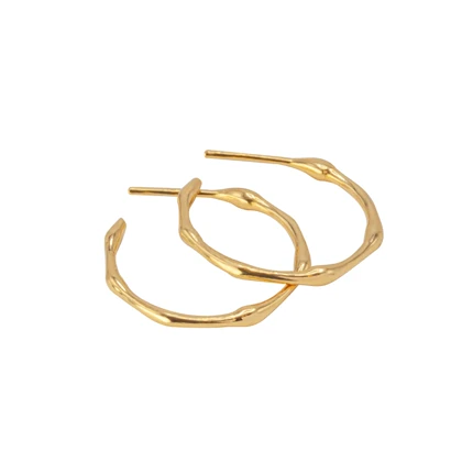گوشواره بیوفرم بزرگ _ Bioform Earrings big