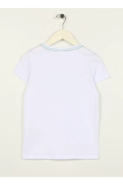 تیشرت مردانه u.s.-polo-assn.