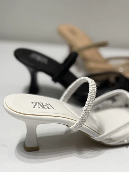 مجلسی زارا مرواریدی