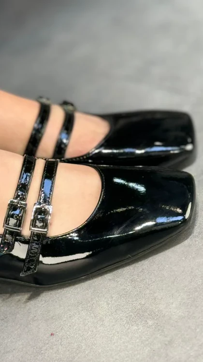 p316 - دو سگک خوکی p316