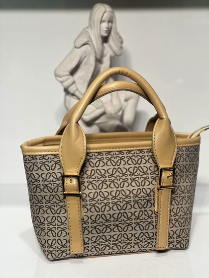 کیف دستی درسا