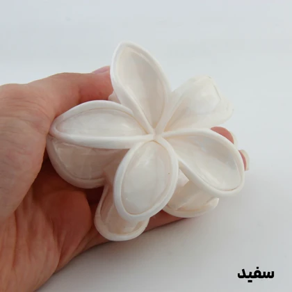 کلیپس دخترانه مدل پلومریا دور سفید