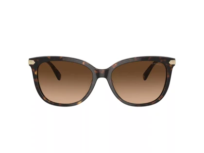 عینک آفتابی کوچ Coach HC8378U