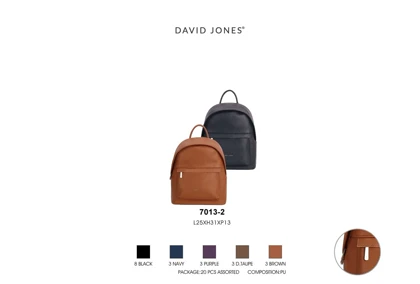 کوله پشتی مدل David Jones 7013-2