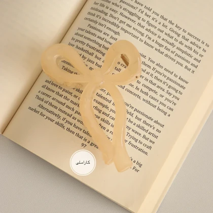 کلیپس مدل 3030