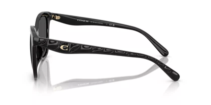عینک آفتابی کوچ Coach HC8419U