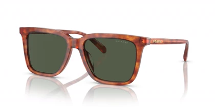 عینک آفتابی کوچ Coach HC8385U