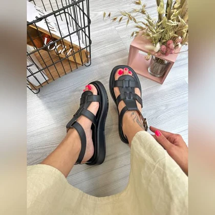 صندل خرچنگی _ 1509