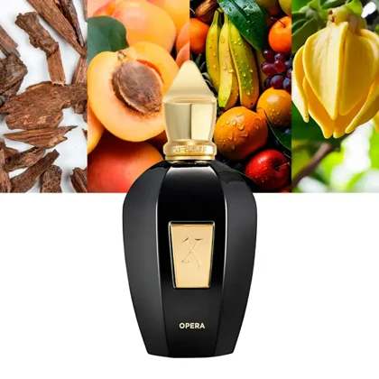 عطر زرجوف اپرا Xerjoff Opera Eau de Parfum