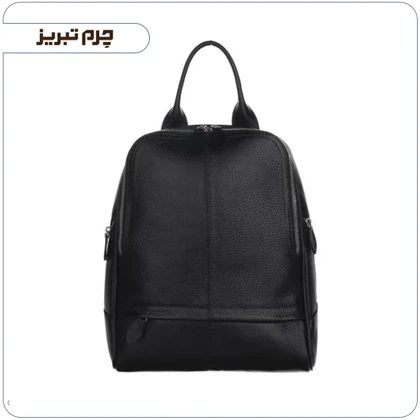 کوله پشتی دانشجویی چرم کد BT8