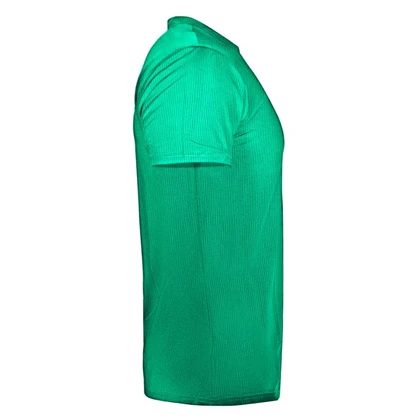تیشرت ورزشی مردانه مدل GS-Rock-Sweat 256