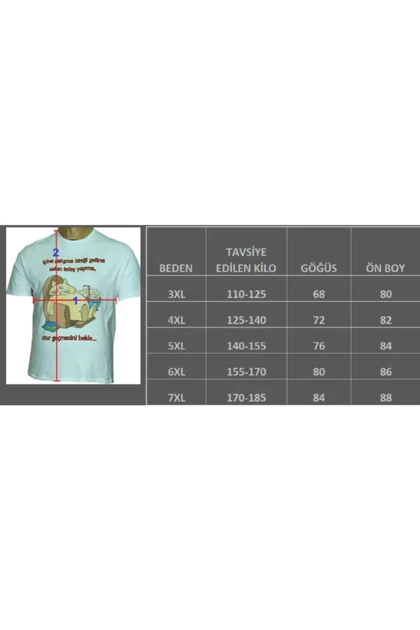 تیشرت سایز بزرگ مردانه lifeguard