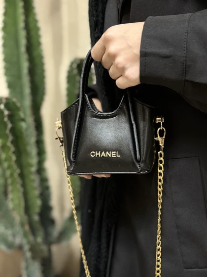 مینی بگ الیکا