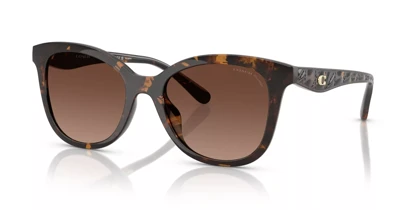 عینک آفتابی کوچ Coach HC8419U 5120T5