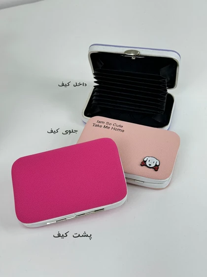 جاکارتی پاپی