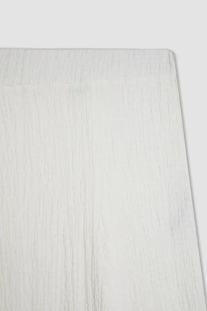 شلوار چروک شده منظم D4415AX24SM