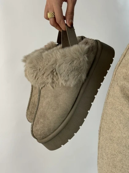 آگ پشت کش خزدار 2384