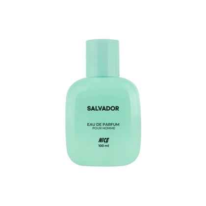 ادوپرفیوم مردانه استندی مکعبی نایس پاپت مدل Salvador حجم 100 میلی لیتر