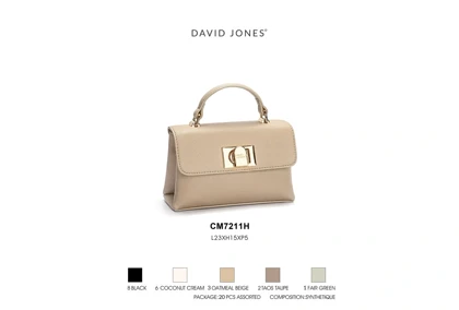 کیف دستی زنانه دیوید جونز مدل David Jones CM7211H
