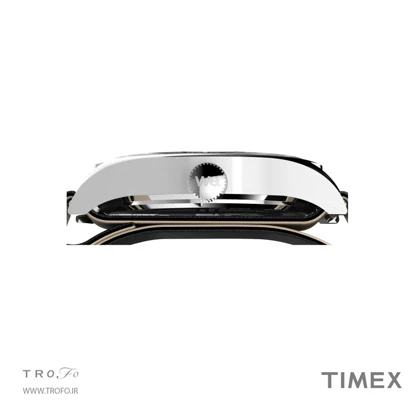 ساعت مچی عقربه ای مردانه تایمکس (Timex) مدل TW2Y35900