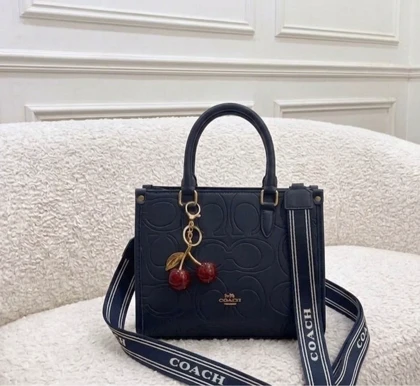 کیف زنانه coach