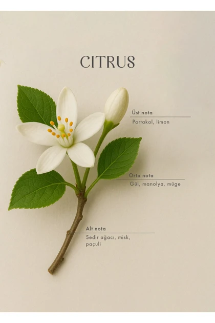 اسپری اتاق Bella Maison مدل Citrus