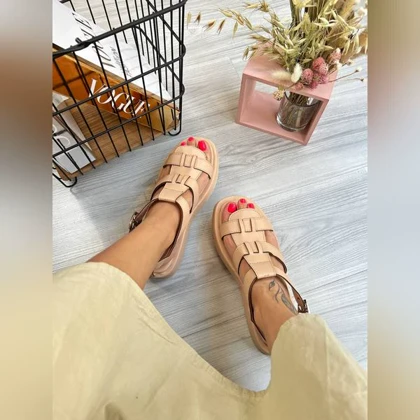 صندل خرچنگی _ 1509