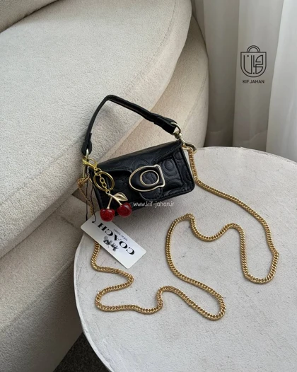 کیف پاسپورتی الکساندر کوچ