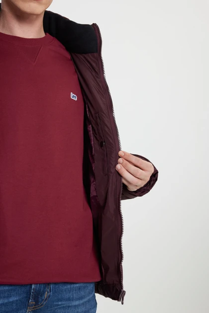 کت و کاپشن مردانه لی lee