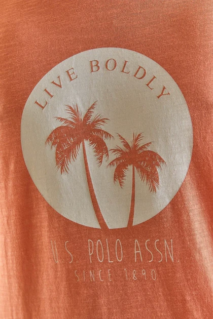 تیشرت مردانه اورجینال assn u.s.-polo-assn.