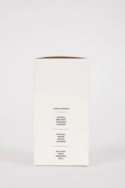 عطر مردانه مکزیکی آروماتیک 100 میلی لیتری D0565axns TYC1MRRV2N171961523849479