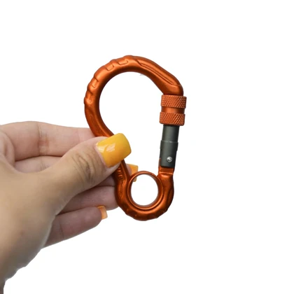 کارابین کوهنوردی قفل دار مدل Ergodyne-404F0686