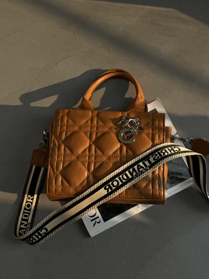 کیف رودوخت DIOR