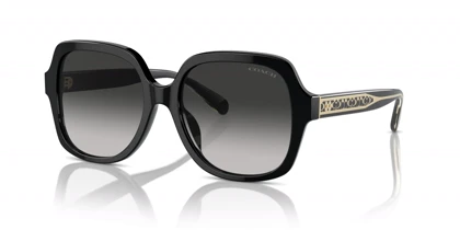 عینک آفتابی کوچ Coach HC8395U